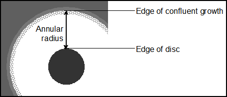 Diagram showing the annular radius of the zone of inhibition.